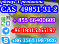 49851-31-2-bromo-1-phenyl-1-pentanone-cas-number-small-1