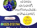 amil-baba-kala-jadu-in-pakistan-contact-number-small-0