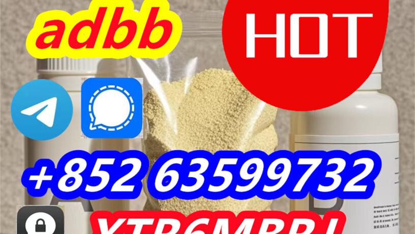 5cladba-precursor-powder-5cl-adbb-powder-big-2