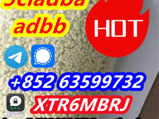 From China 5CL-ADB supplier 5cl 5cladba 5cl adb