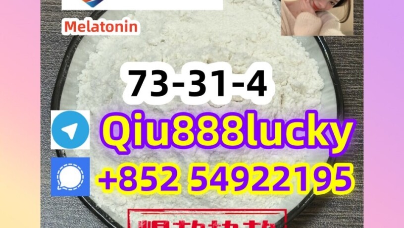 73-31-4-melatonin-big-0