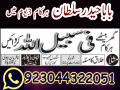 amil-baba-peer-baba-amil-karachi-astrologer-small-1