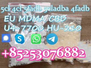 5CL-ADB SGT151 5CL-ADBA 4fadba 4cladb 6cl-adbb MDMA bmk pmk jwh018