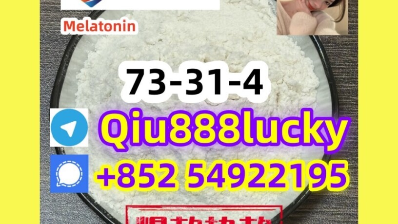 73-31-4-melatonin-big-0