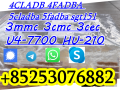 5cl-adb-5cladb-5fadba-4fadb-4cladba-adbb-6cl-mdma-2f-dck-aphp-small-3