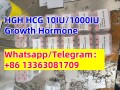 hcg-powder-injection-human-chorionic-gonadotropin-recombinant-rec-hcg-small-0