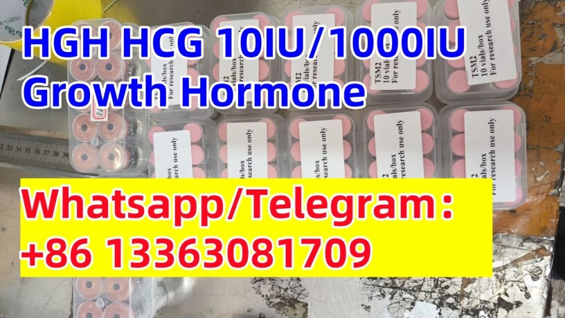 hcg-powder-injection-human-chorionic-gonadotropin-recombinant-rec-hcg-big-0