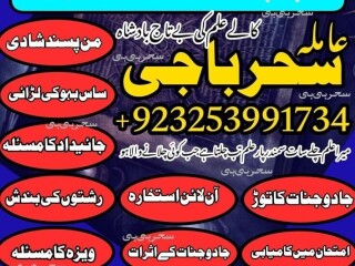 World Wide Hit Top 10 Pakistani AmilBaba /BlackMagic Expert Amila Baji Karachi Famousr Astrologer BABA G ,UK+923253991734