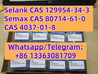 Selank TP-7 Peptide Injection 5MG 10Vials CAS 129954-34-3