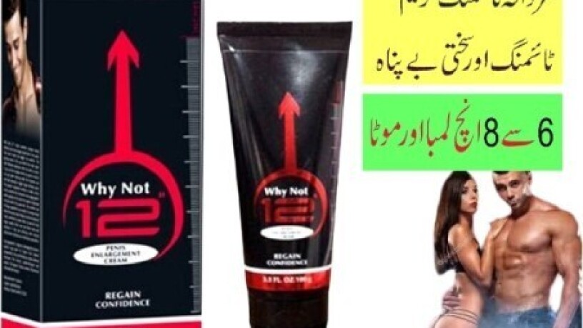 why-not-12-inches-cream-in-kandhkot-03210006111-big-0