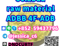 afdl-saar-5cl-mkdm-adbb-5cladba-almoad-alkham-small-3