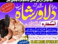 professional-amil-baba-black-magic-specialist-amil-baba-in-pakistan-bangali-baba-in-karachi-world-small-1