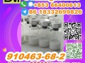 manufacturer-supply-raw-material-cas-910463-68-2-semaglutide-small-4