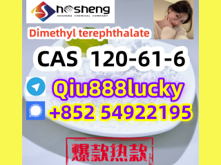 120-61-6  Dimethyl terephthalate