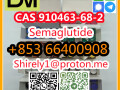 cas-910463-68-2-semaglutide-high-quality-good-price-small-2