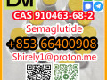 cas-910463-68-2-semaglutide-high-quality-good-price-small-7