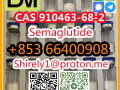 cas-910463-68-2-semaglutide-high-quality-good-price-small-8