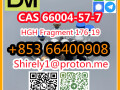 cas-66004-57-7-high-quality-good-price-hot-sale-stock-small-7