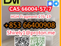 cas-66004-57-7-high-quality-good-price-hot-sale-stock-small-9