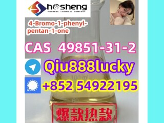 49851-31-2  4-Bromo-1-phenyl-pentan-1-one