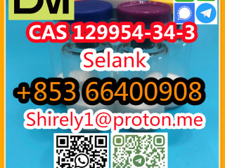 CAS 129954-34-3 Selank high quality good price