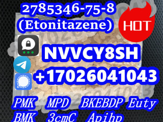 CAS 119276-01-6	(Protonitazene)  CAS 1715016-75-3	(5F-ADB,5F-MDMB-PINACA)