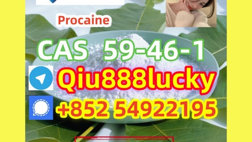 59-46-1-procaine-big-0