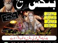 manpasand-shadi-k-taweez-asli-amil-baba-kala-jadoo-expert-small-0