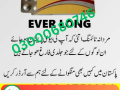 everlong-tablets-price-in-karachi-03000680746-small-0