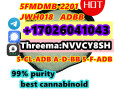 cas-71368-80-4-bromazolam-euty-bmk-eta-iso-dmf-small-2