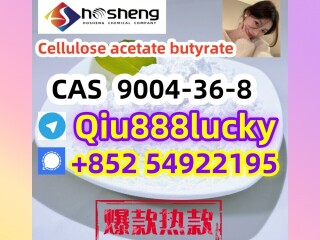 9004-36-8  Cellulose acetate butyrate