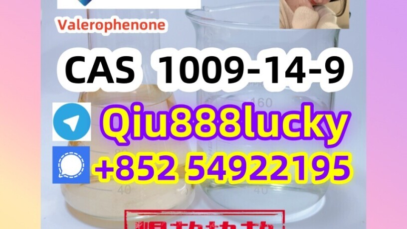 1009-14-9-valerophenone-big-0