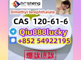 120-61-6  Dimethyl terephthalate