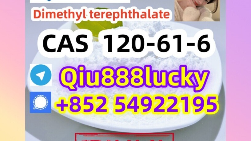 120-61-6-dimethyl-terephthalate-big-0