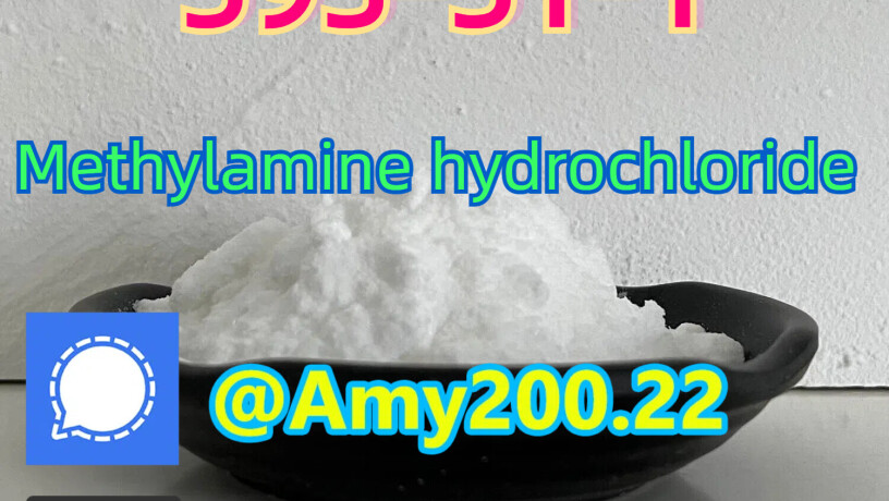 cas-593-51-1-methylamine-hydrochloride-big-0