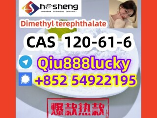 120-61-6  Dimethyl terephthalate