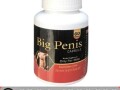 big-penis-capsule-in-pakistan-0301-1329682-call-now-small-0