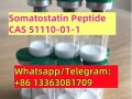 somatostatin-sst-peptide-cas-51110-01-1-small-0