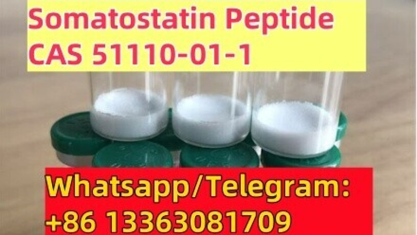 somatostatin-sst-peptide-cas-51110-01-1-big-0