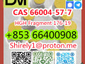 cas-66004-57-7-high-quality-good-price-hot-sale-stock-small-9