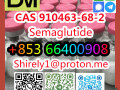 cas-910463-68-2-semaglutide-high-quality-good-price-small-6