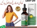 damiana-plus-oil-price-in-karachi-03210006111-small-0