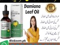 damiana-plus-oil-price-in-lahore-03210006111-small-0