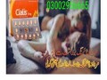 cialis-5mg-tablets-in-pakistan03002956665-small-0