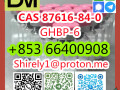 cas-87616-84-0-ghbp-6-high-quality-good-price-small-4