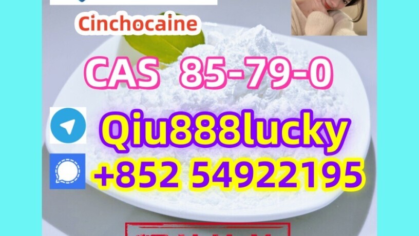 85-79-0-cinchocaine-big-0