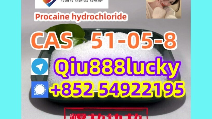 51-05-8-procaine-hydrochloride-big-0