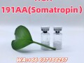 free-sample-and-shipping-small-1