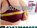 bustmaxx-pills-in-pakistan-03027800897-cash-on-delivery-small-0