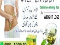 catherine-slimming-tea-in-faisalabad-03011329682call-now-small-0